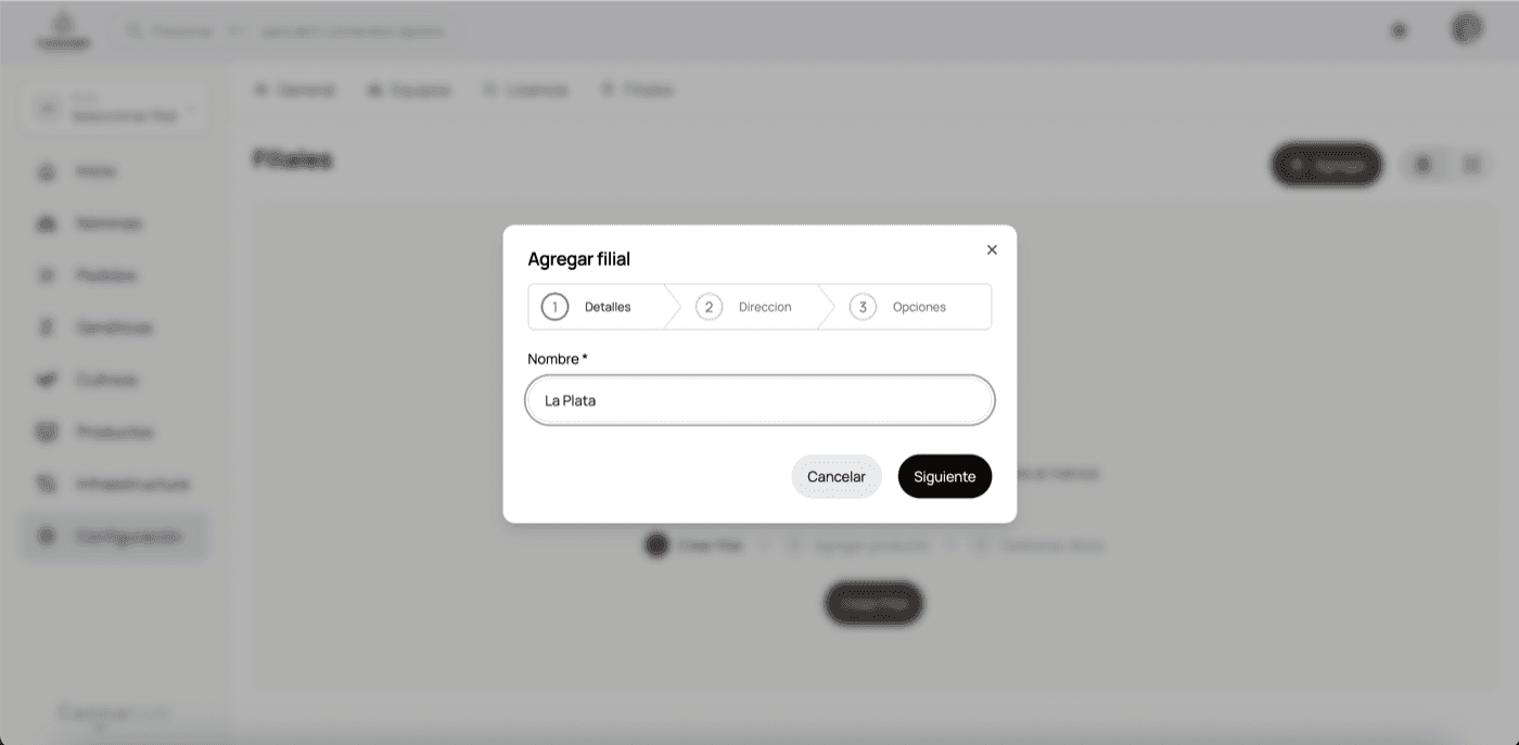 Paso 1 - Nombre y detalles de la filial